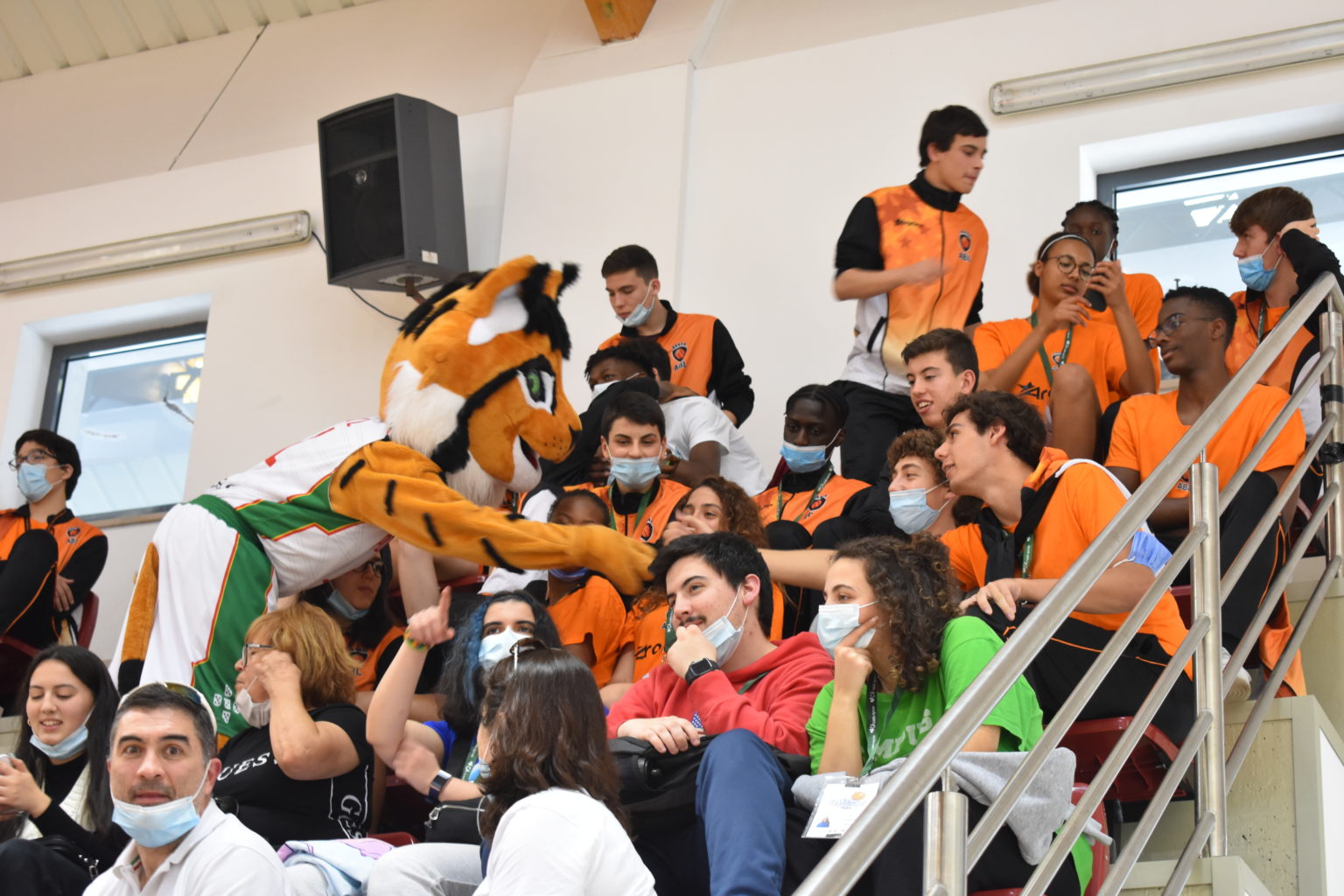 ABL imagem de galeria