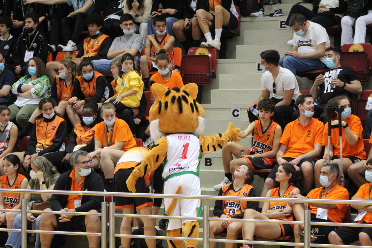 ABL imagem de galeria