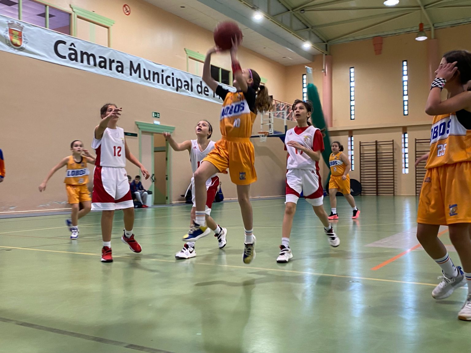 ABL imagem de galeria