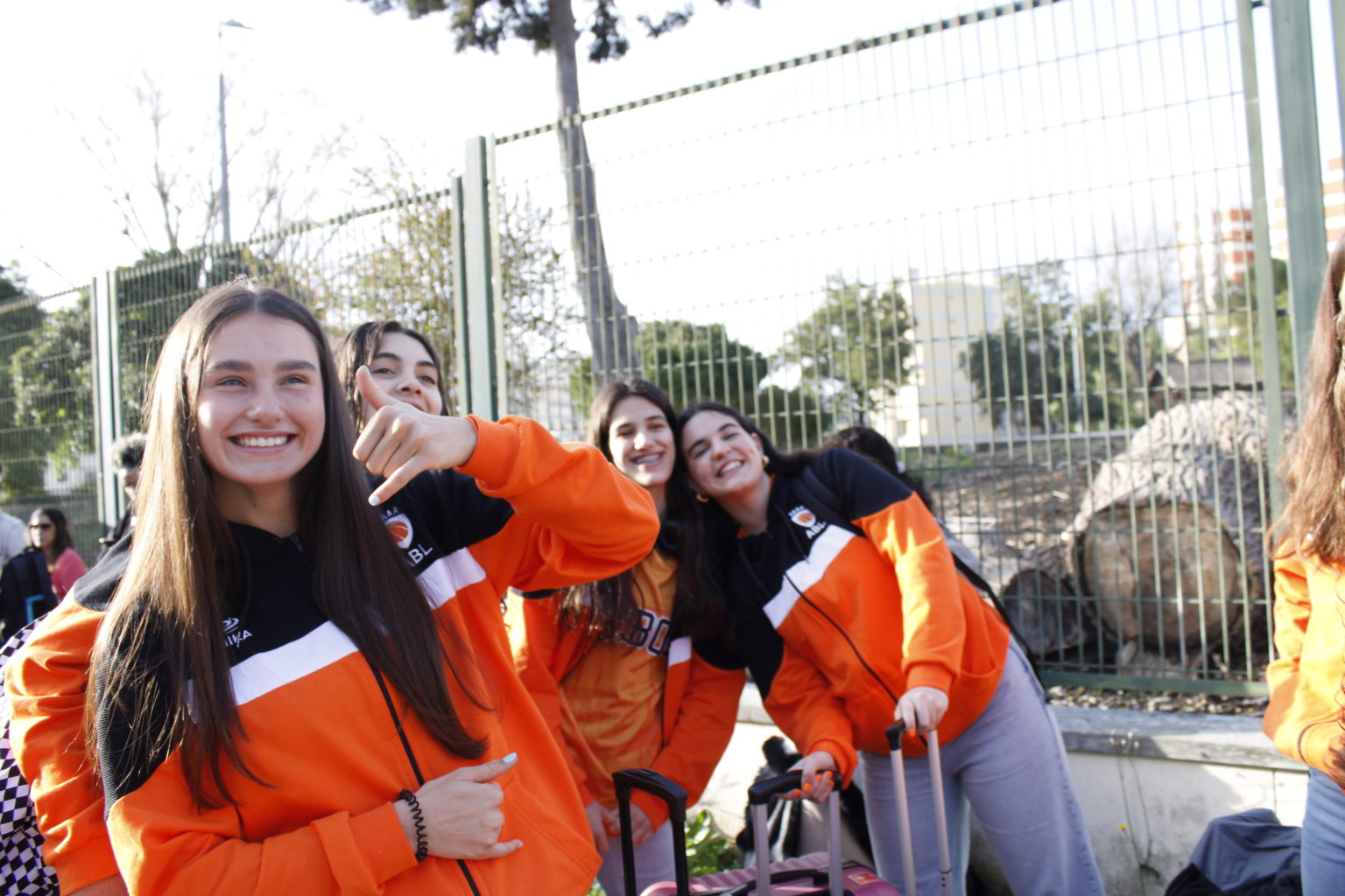 ABL imagem de galeria